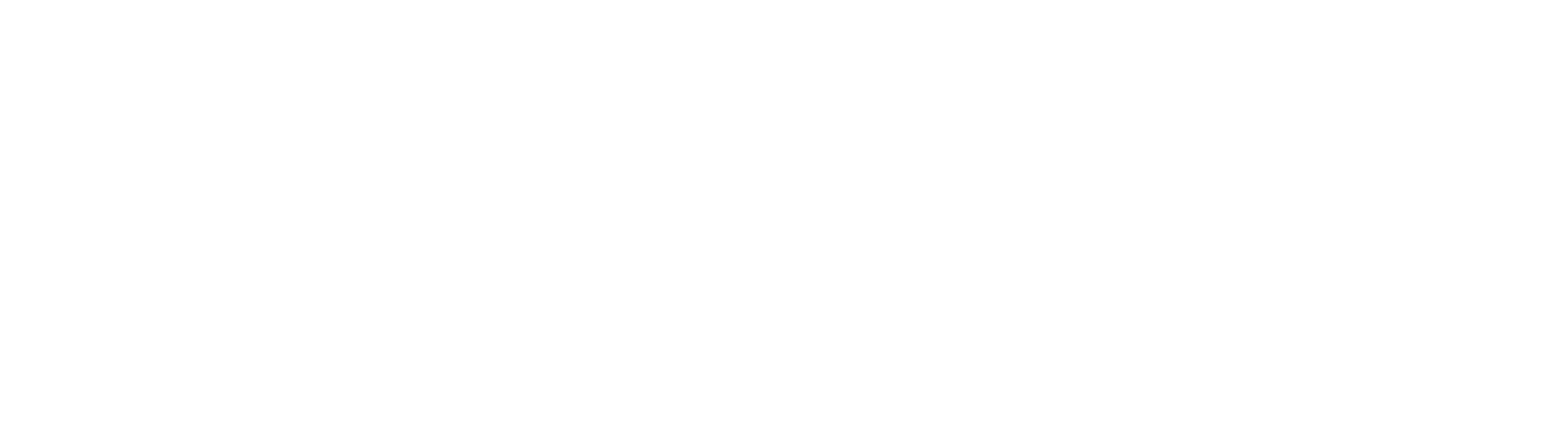 CEO